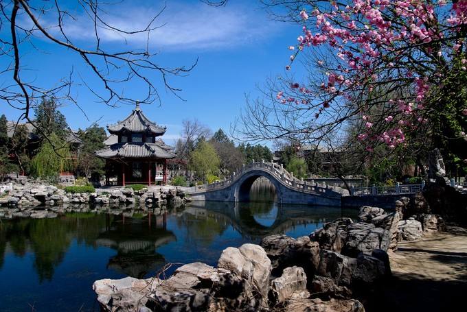 蓮が一面に生い茂る池の風景がとても美しい、河北省保定市にある古蓮花池景区(金さん特別編)